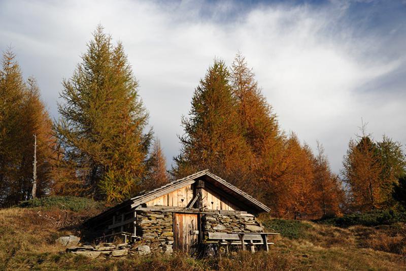 Herbst in Pfelders